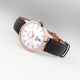 ساعت سیکو مدل SRPD42J1